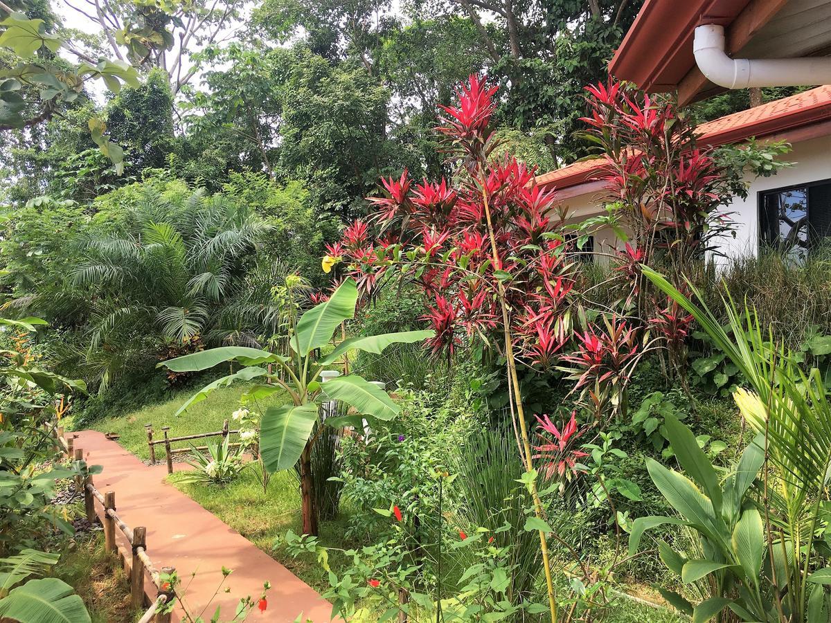 Casa Del Toucan 도미니칼 외부 사진